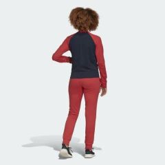 Adidas FM6841 WTS NEW CO MARK Kadın Eşofman Takımı
