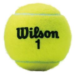 Wilson Championship XD 3lü Tenis Topu - WRT100101