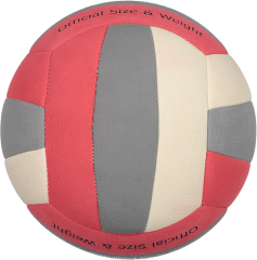 SELEX Palermo Voleybol Topu (Gri-Pembe)