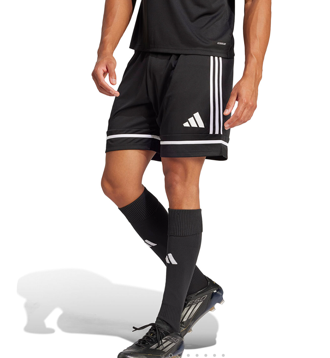 Adidas Antrenman ürünleri Şort SQUA25 SHO M JN5469