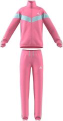 adidas Kız Çocuk Eşofman Takımı HL2404