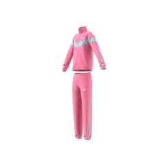 adidas Kız Çocuk Eşofman Takımı HL2404
