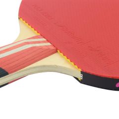 Butterfly Maze Gold ITTF Onaylı Masa Tenisi Raketi - 85062