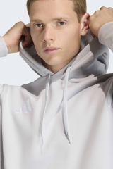 adidas Ent26 Hoody Erkek Spor Sweatshirt JZ6578