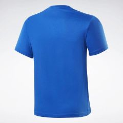 Reebok FP9144 GS Reebok Stacked T Erkek T-Shirt