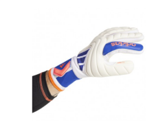 Adidas Copa GL LGE Kaleci eldiveni IX3832