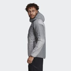 adidas TERREX WİNDWEAVE YALITIMLI KAPÜŞONLU MONT DZ2050