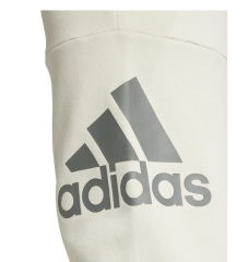 Adidas Bej Erkek Normal Düz Eşofman Altı IY9001