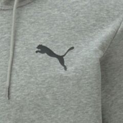 Puma  Ess Small Logo Fz Hoodie Tr Erkek Sweatshirt 586704-53