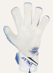 Reusch Attrakt Re:Grip Evolutıon Kaleci Eldiveni 5570555-4310