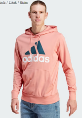 adidas Essentials Logo Erkek Kapüşonlu Sweatshirt IJ8568