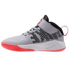 Nike Team Hustle D 9 (Ps) Erkek Basketbol Ayakkabısı Gri Aq4225-007