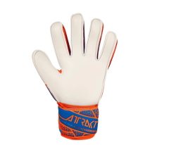Reusch Attrakt Solid Kaleci Eldiveni 5570515-2290