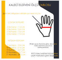 Reusch Attrakt Solid Süper Kaleci Eldiveni 5470515-4410