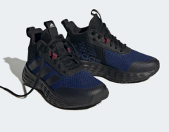 adidas Ownthegame  2.0 Erkek Basketbol Ayakkabısı H06417