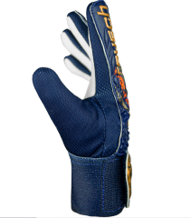 Reusch Attrakt Starter Grip Kaleci Eldiveni  5470814-4410