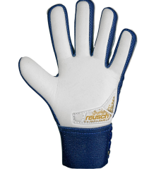 Reusch Attrakt Starter Grip Kaleci Eldiveni  5470814-4410