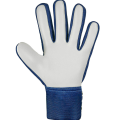 Reusch Attrakt Starter Solid Çocuk Kaleci Eldiveni 5472514Y-4409