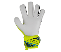 Reusch  Attrakt Solid Kaleci Eldiveni 5470515-2111